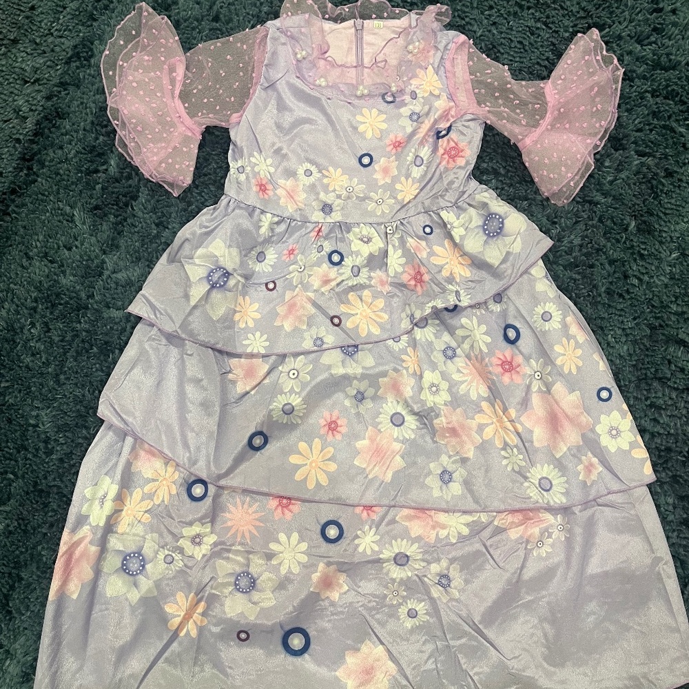 Encanto Disney Costume